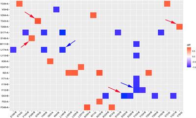 Molecular mechanism of GIRK2 channel gating modulated by cholesteryl hemisuccinate